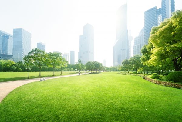 Commercial Landscape Maintenance in Fresno