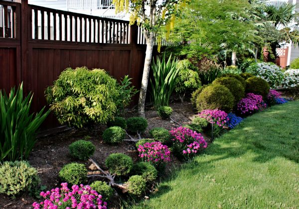 Garden Care Service in Fresno