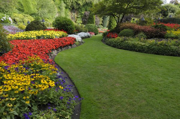 Landscaping Maintenance in Fresno