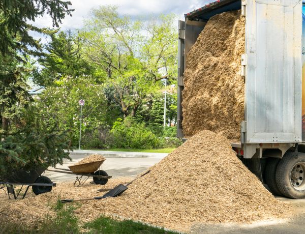 Wood Chips Delivery in Fresno