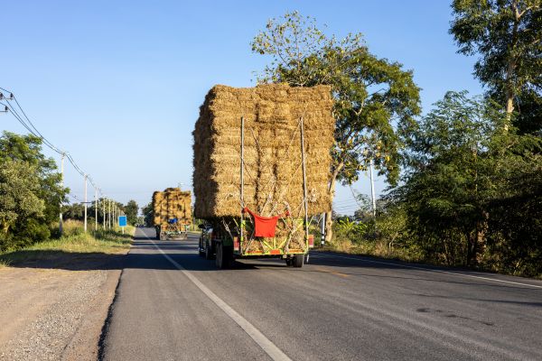 Pine Straw Delivery in Fresno