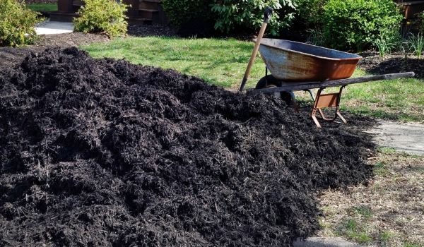 Black Mulch Delivery in Fresno