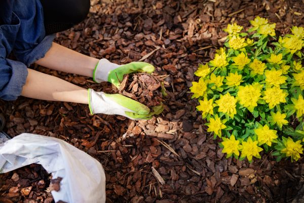 Garden Mulching in Fresno