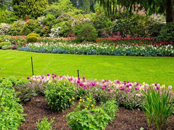 Residential Landscape Design in Fresno