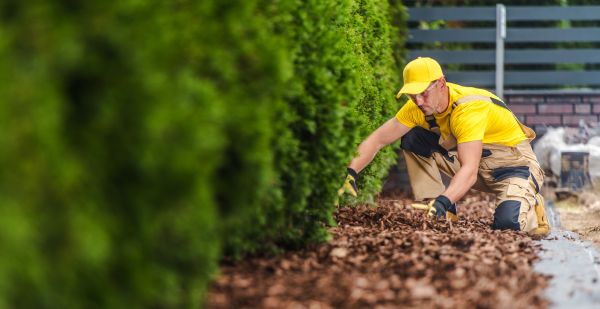 Cypress Mulch Installation in Fresno