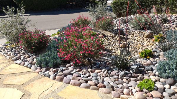 Xeriscape Landscaping in Fresno