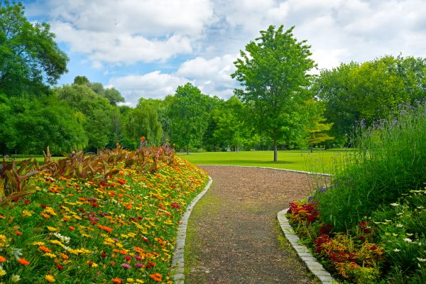 Park Landscaping in Fresno