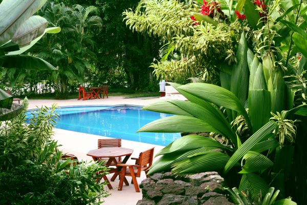 Tropical Garden Landscaping in Fresno