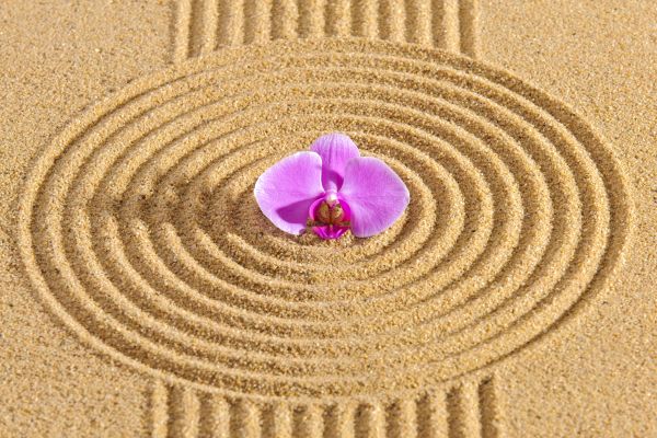 Sand Garden Landscaping in Fresno