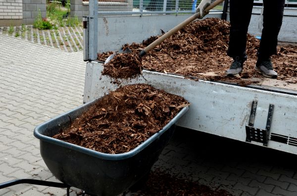 Cypress Mulch Delivery in Fresno