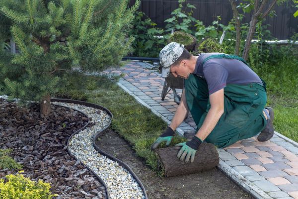Landscaping Modification in Fresno