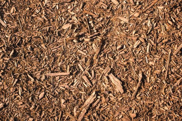 Wood Chips Removal in Fresno