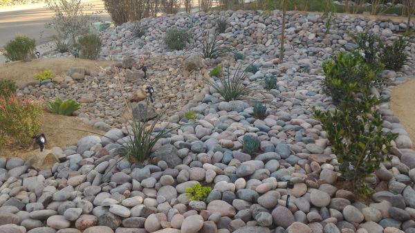 Yard Xeriscaping in Fresno