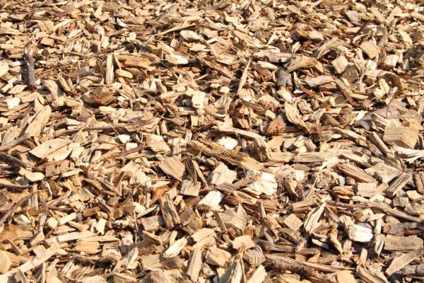 Wood Mulch Delivery in Fresno