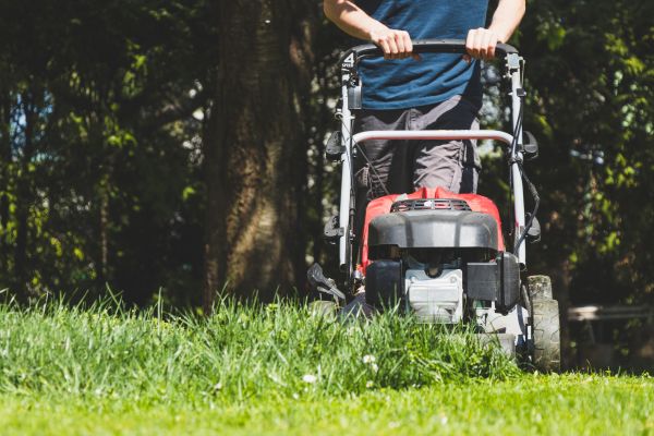 Garden Trimming Service in Fresno
