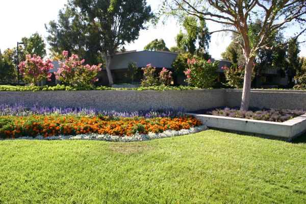 Commercial Landscape Service in Fresno