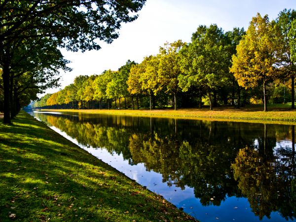 Bank Landscaping in Fresno