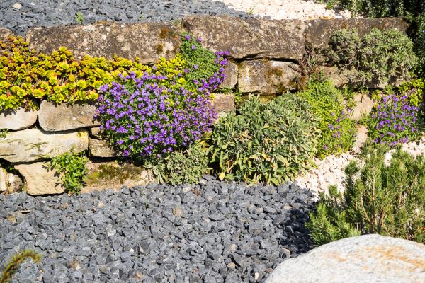 Landscaping Rocks Installation in Fresno