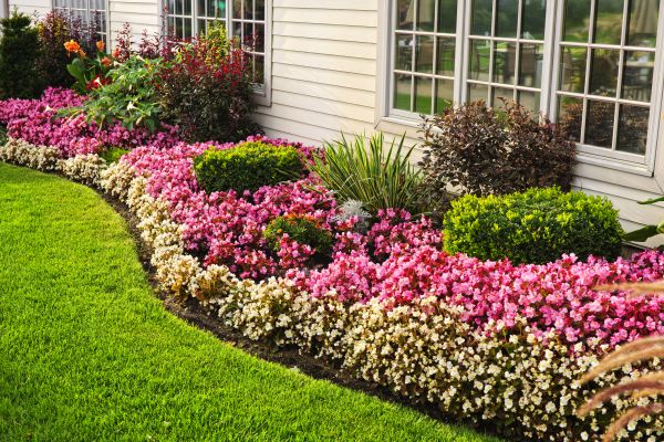 Garden Landscape Design in Fresno