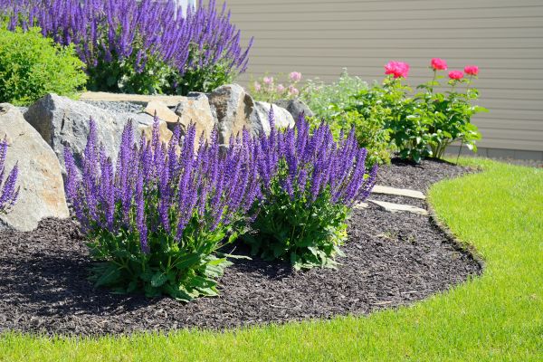 Landscape Planting Service in Fresno