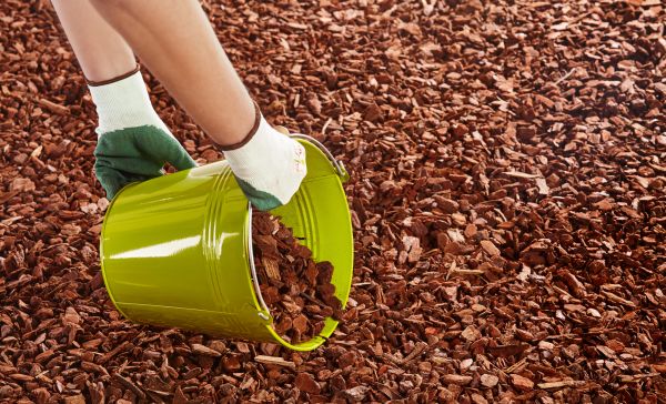 Wood Chip Landscaping in Fresno