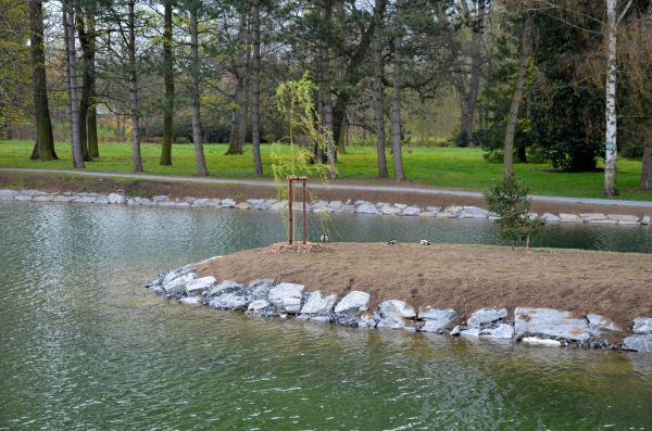 Pond Landscaping Service in Fresno