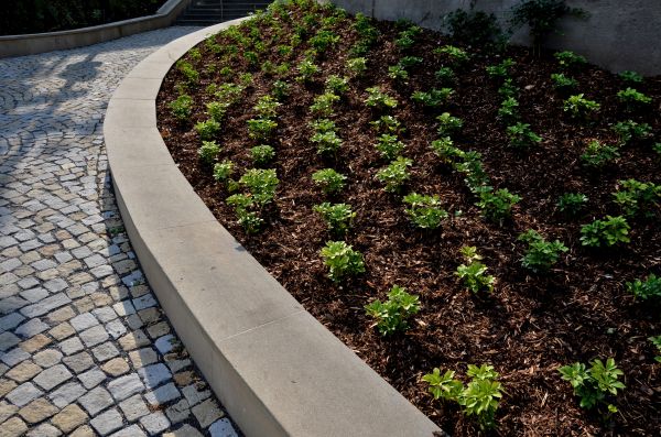 Commercial Mulching in Fresno