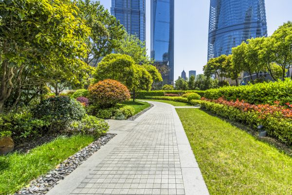 Commercial Landscaping in Fresno
